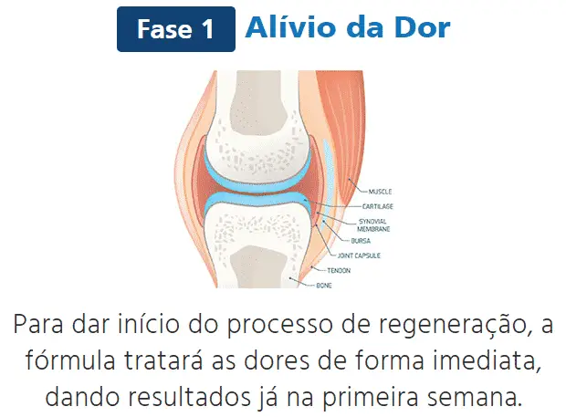 Collaflex alívio da dor