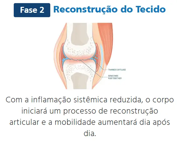 CCY Gotas reconstrução do tecido